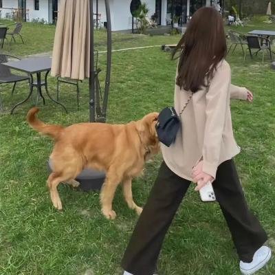 妈妈的口供